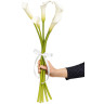 Пять роскошных белых калл